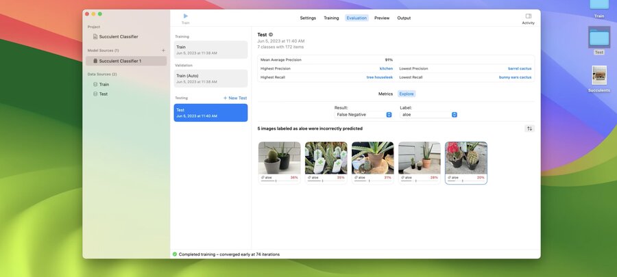 Image Classification Task