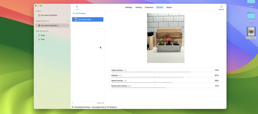 Image Classification Task
