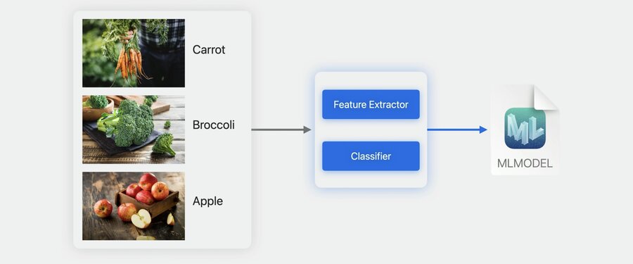 Image Classification Task
