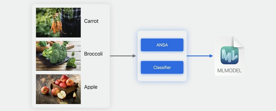 Image Classification Task