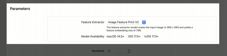 Image Classification Task