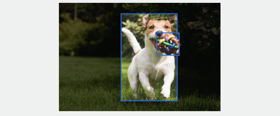 Image Classification Task