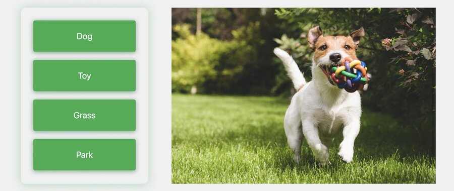 Image Classification Task