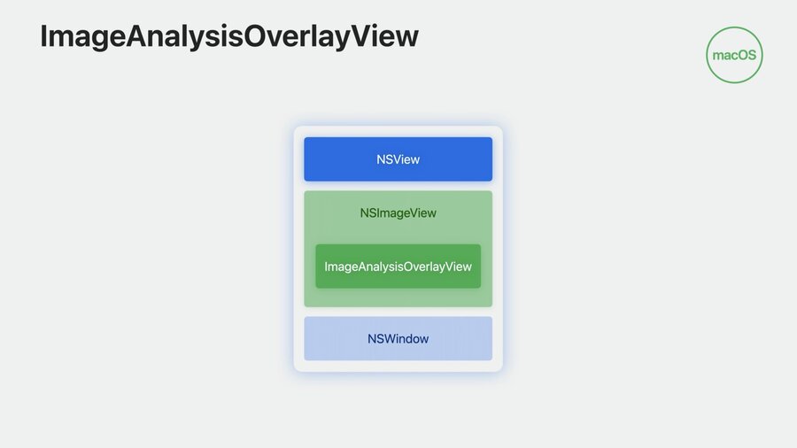 ImageAnalysisOverlayView
