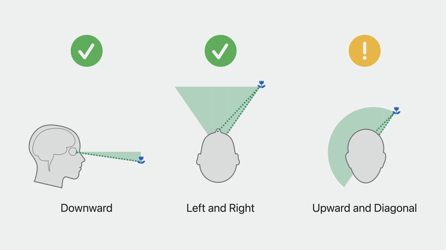 Comfort versus effort in eye direction