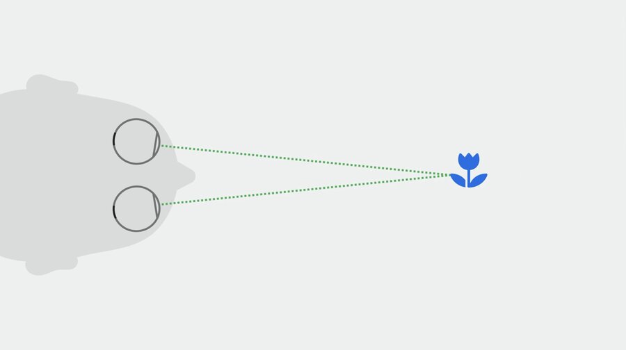 Diagram illustrating the convergence of the eyes on an image