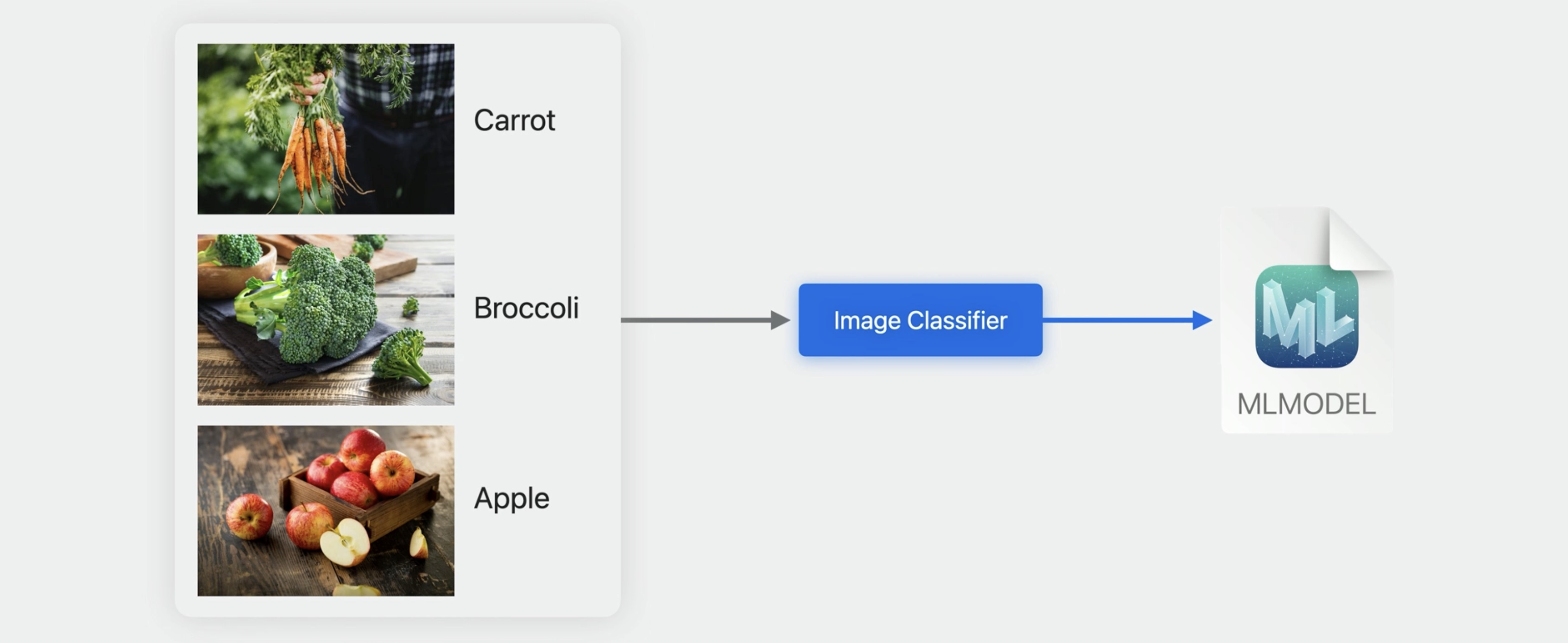 Image Classification Task
